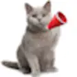 Icon of program: Real Cat Sounds for Windo…