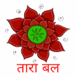Icon of program: Tara-Bal Calculator
