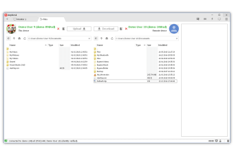 Image 2 for AnyDesk