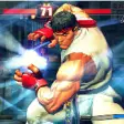 Icon of program: Street Fighter